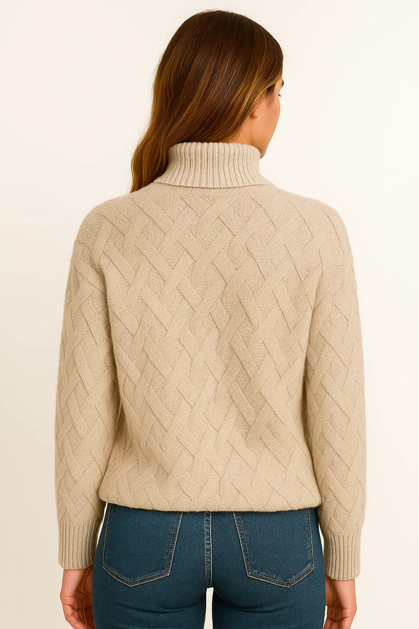Turtle Neck Comfortable and Warm Sweater